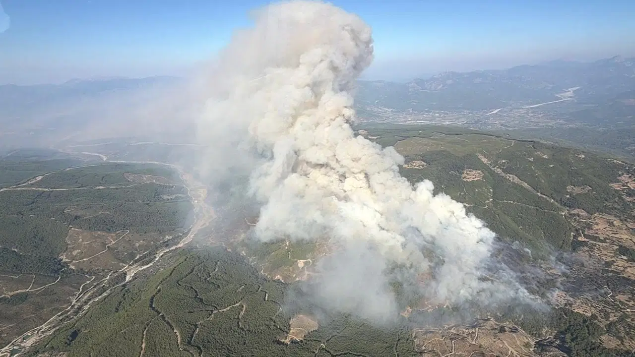Son dakika mugla seydikemerde orman yangini basladi fethiye antalya karayolu trafige kapatildi 2c6QNFrG